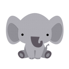 Baby Elephant