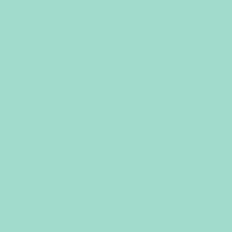 Teal Coordinating Solid Background Pattern