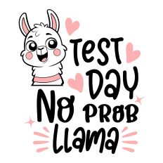 Test Day No Probllama SVG Quote