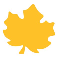 Maple leaf