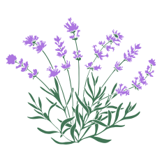 Wild Flowers