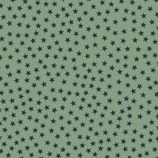 Blue Stars on Green Background