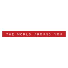 The World Around You