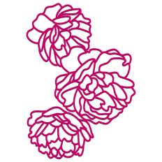 Three Summer Roses