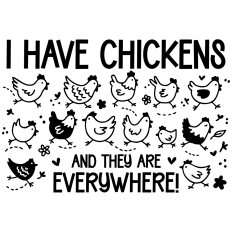 I Have Chickens and they are Everywhere