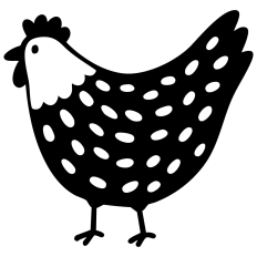 Chicken / Hen