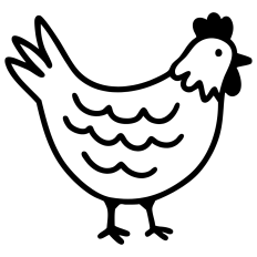 Chicken - Hand Drawn