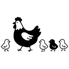 Chicken and Chicks