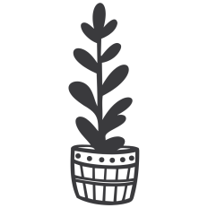 Plant in a Barrel