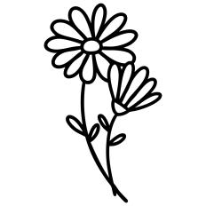 Daisies