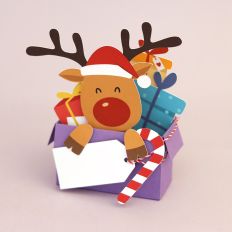 Christmas Gift Box Reindeer