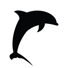 Dolphin 