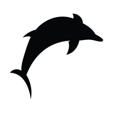 Dolphin Icon