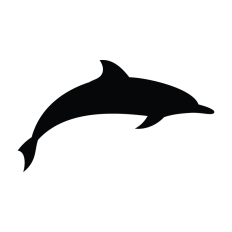 Dolphin Swimming Icon