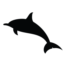 Dolphin Illustration