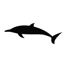 Dolphin Swimming Illustration