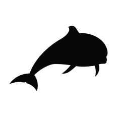 Dolphin Breaching Illustration