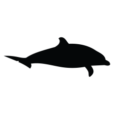 Dolphin Silhouette Design