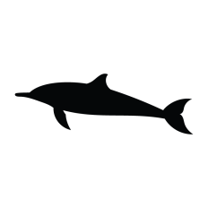 Dolphin Swimming Silhouette