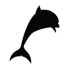Dolphin Leaping