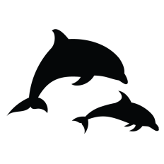 Dolphins
