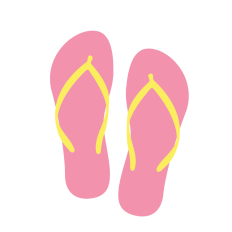 Flip Flops