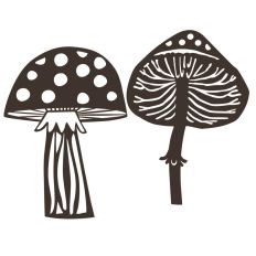 Toadstools spotty