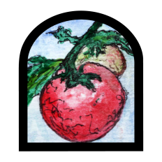 Tomato