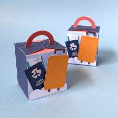Travel Handle Cube Box