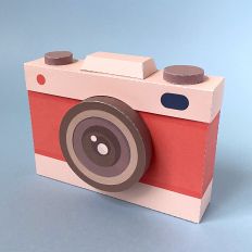 Travel Red Camera Box