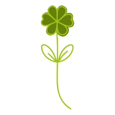 Clover