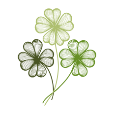  Clovers