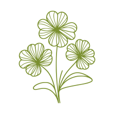 Clovers