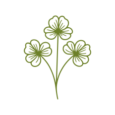 Clovers