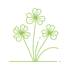 Clovers