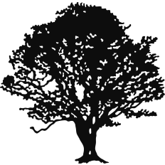 Oak Tree Silhouette
