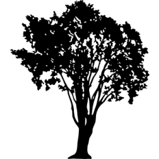 Tree Silhouette