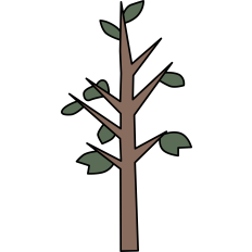 Tree Sapling