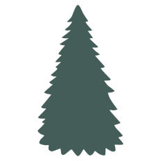 Big Pine Tree