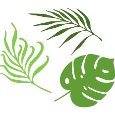 Palm fronds set