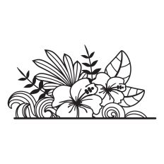 Hibiscus Border