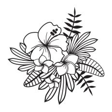 Hibiscus flowers