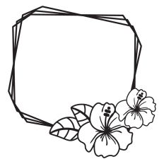 Hibiscus frame