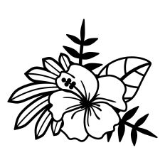 Hibiscus Flower