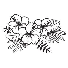 Hibiscus