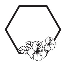 Hibiscus hexagon frame