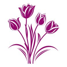 Tulip flowers 2