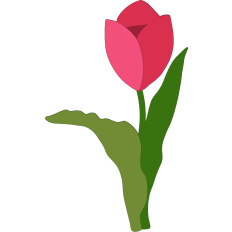 Red Tulip