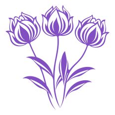 Tulip Flowers