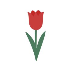 The Floral Collection - Tulip